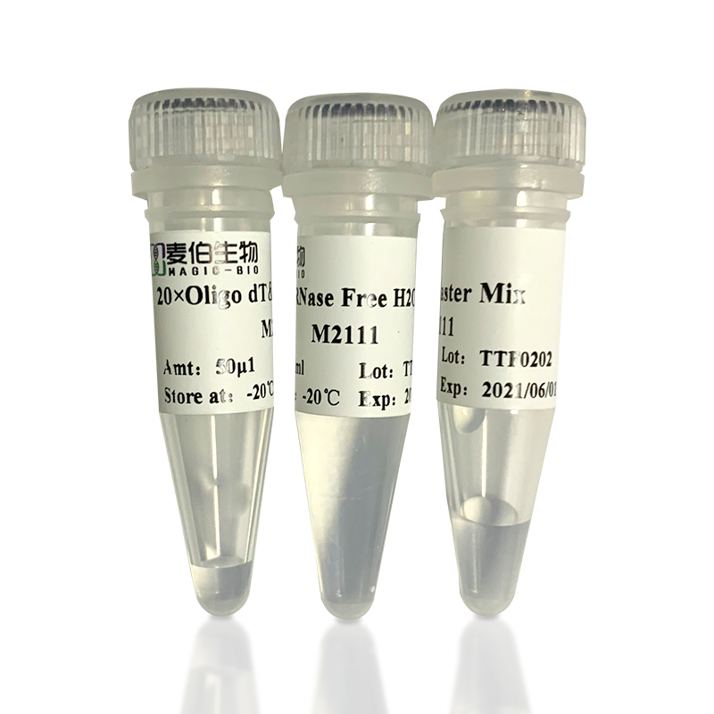 M211 Magic 1st cDNA Synthesis Kit (With dsDNase)