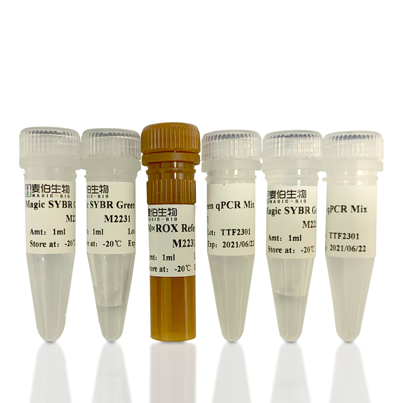 M223 Magic SYBR Green qPCR Mix