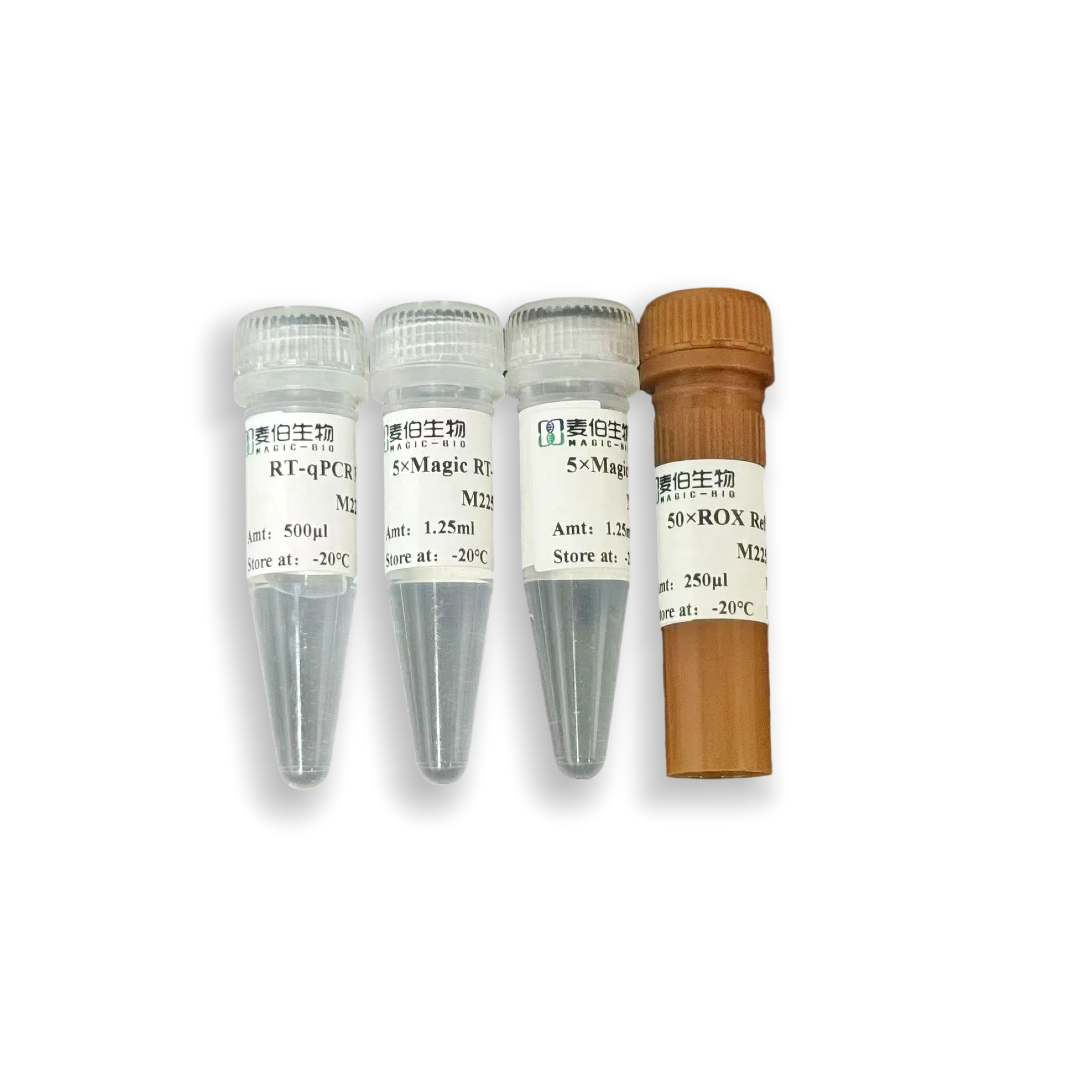 M225 Magic One-step RT-qPCR Mix